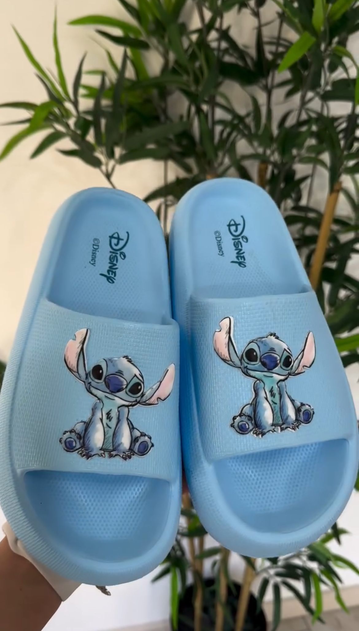 Chinelo Moda Laranjeira - Envio Rápido - Tamanho 32 ao 42