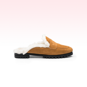 Mule Anice Camel